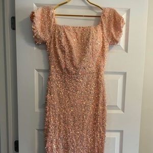 Sequin Dress (NWT)